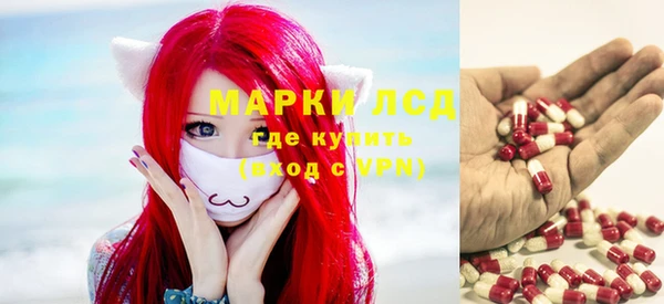 СК Инсар