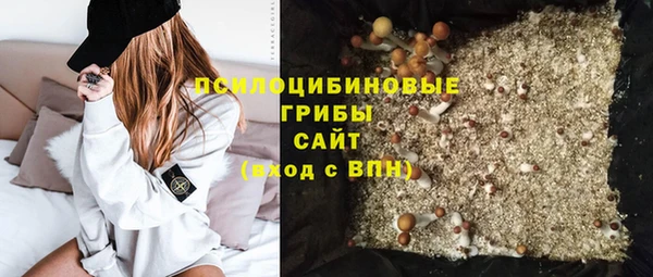 СК Инсар